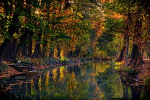The Spreewald