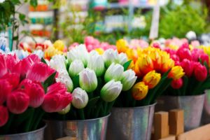 Flower Display