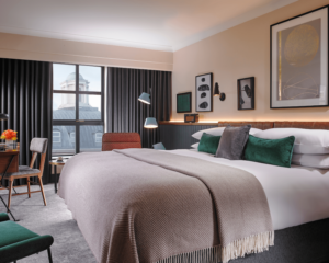 The Alex, Dublin