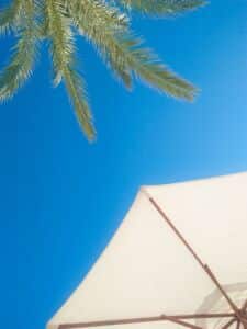 Palm Trees & Parasol